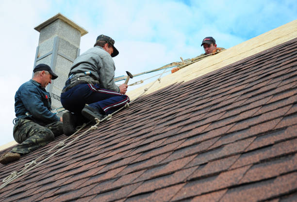 Best Storm Damage Roof Repair  in Pottsville, PA